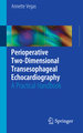 Perioperative Two-Dimensional Transesophageal Echocardiography