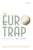 Euro Trap: On Bursting Bubbles, Budgets, and Beliefs