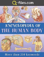 Human Body