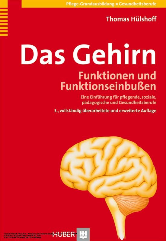 Das Gehirn