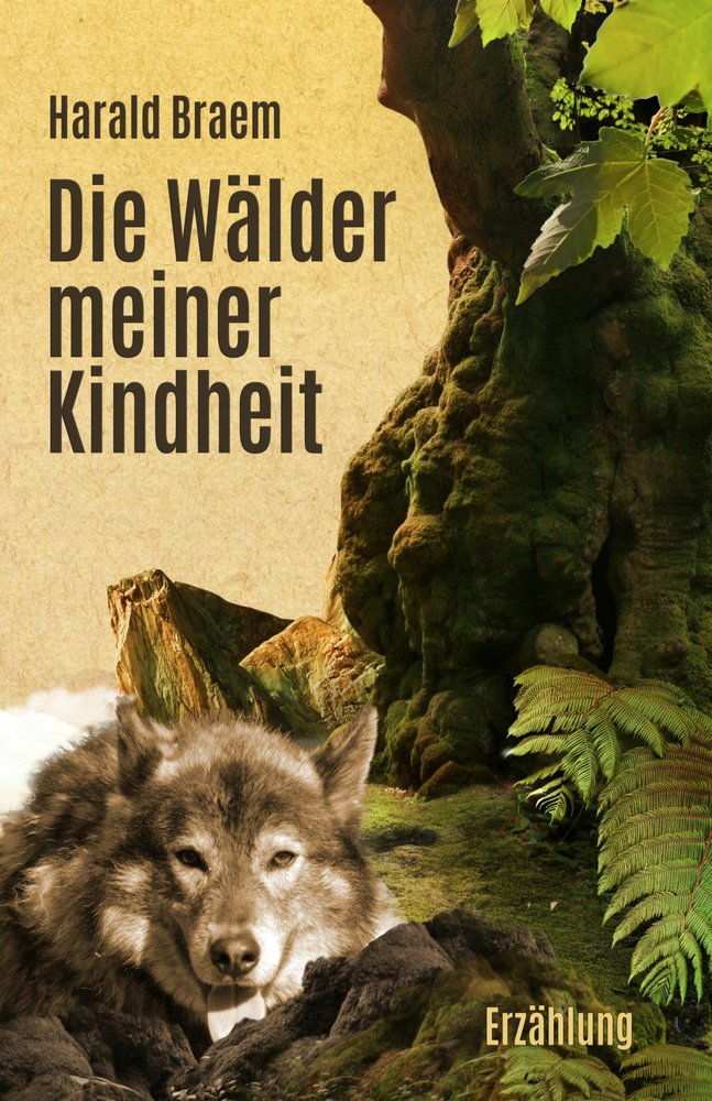 Die Wälder meiner Kindheit