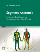 Segment-Anatomie