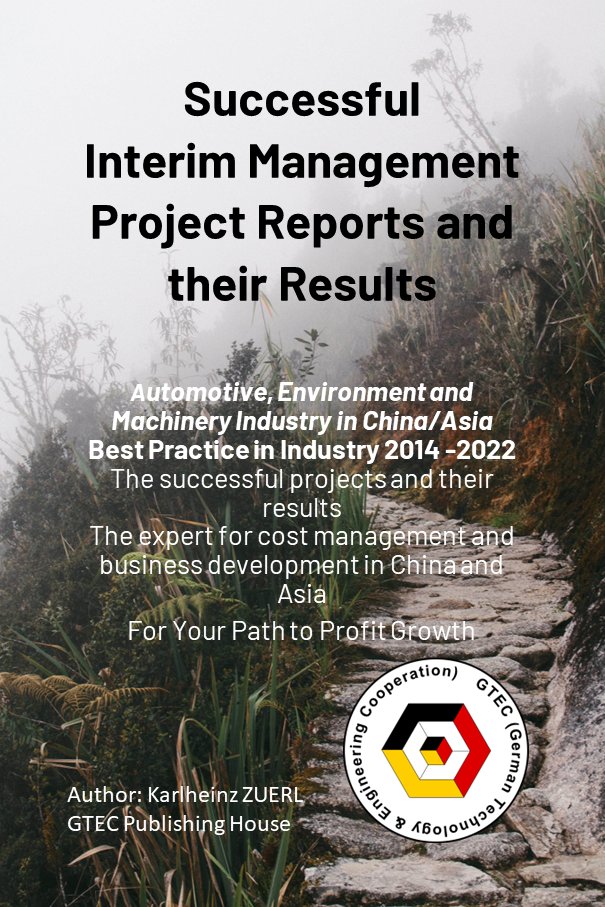 Successful Interim Management Project Reports and their Results