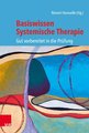 Basiswissen Systemische Therapie