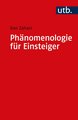 Phänomenologie für Einsteiger