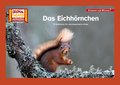 Das Eichhörnchen / Kamishibai Bildkarten