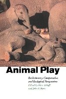 Animal Play