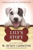 Lily's Story