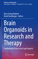 Brain Organoids in Research and Therapy