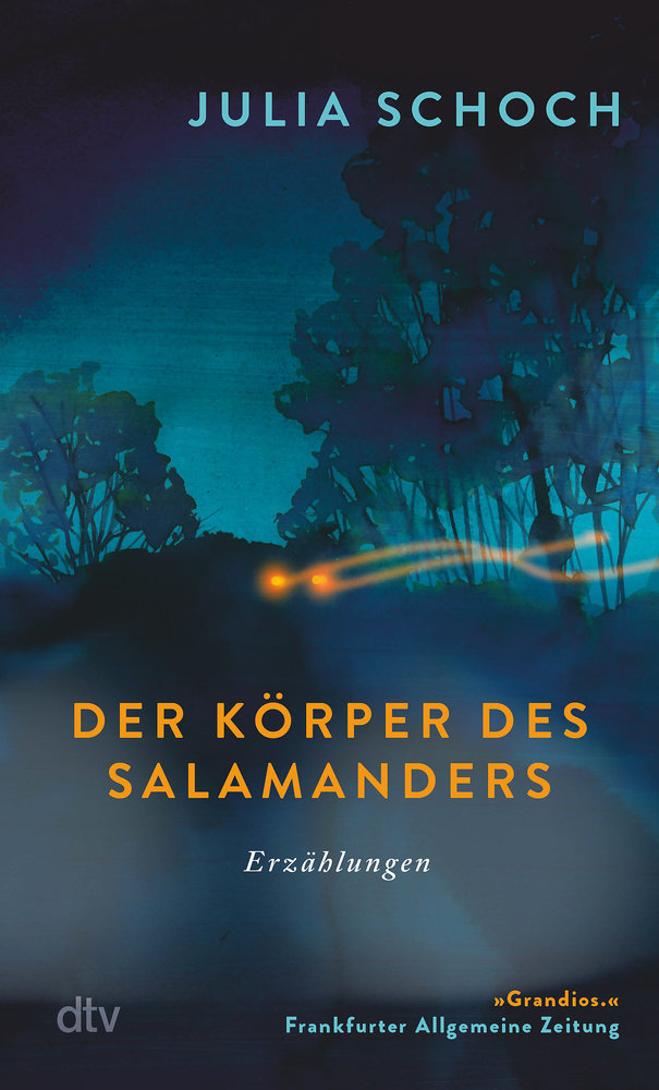 Der Körper des Salamanders