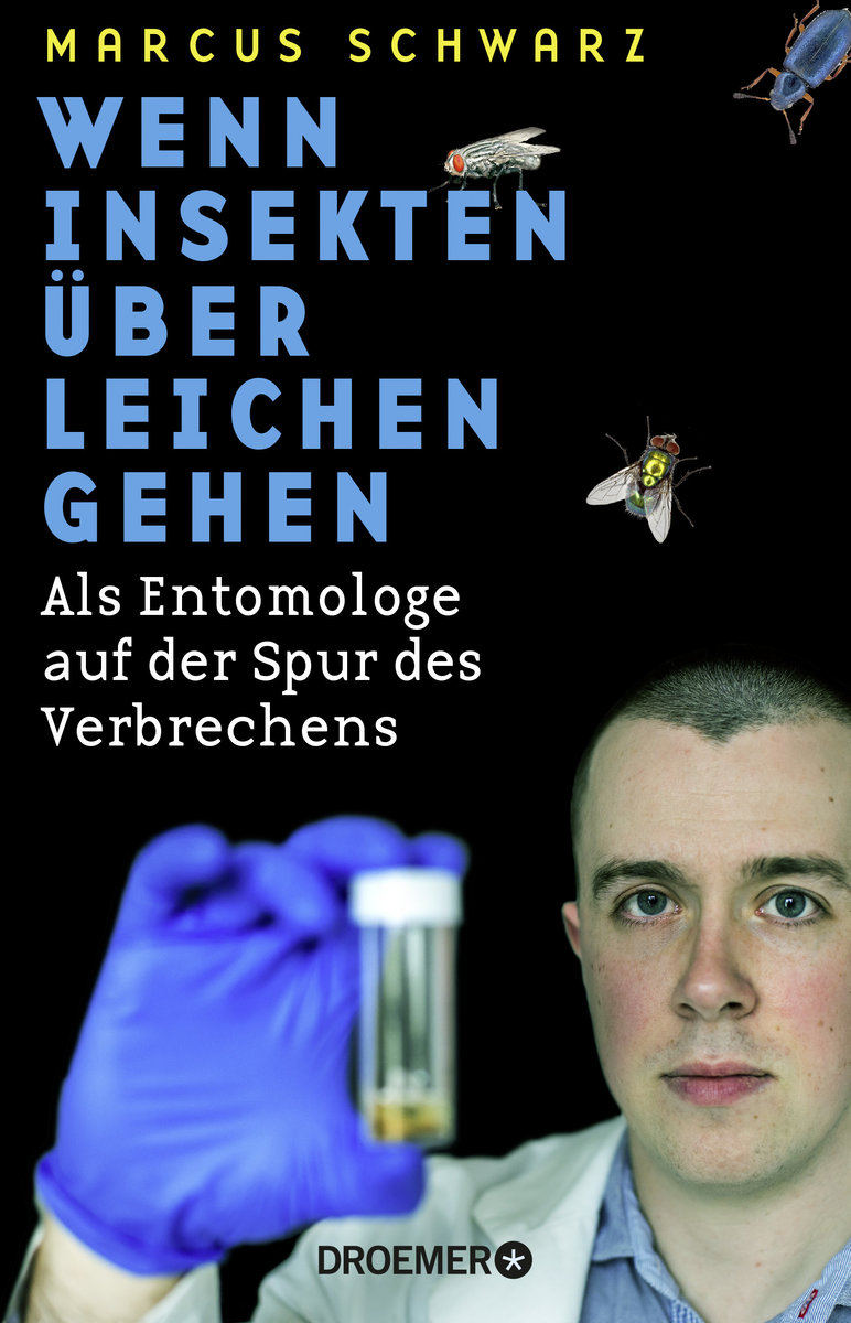 Wenn Insekten über Leichen gehen