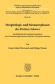 Morphologie und Metamorphosen des Dritten Sektors.