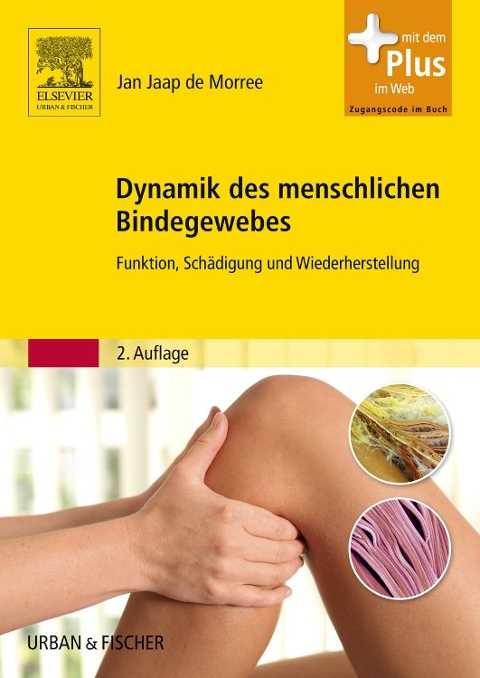 Dynamik des menschlichen Bindegewebes