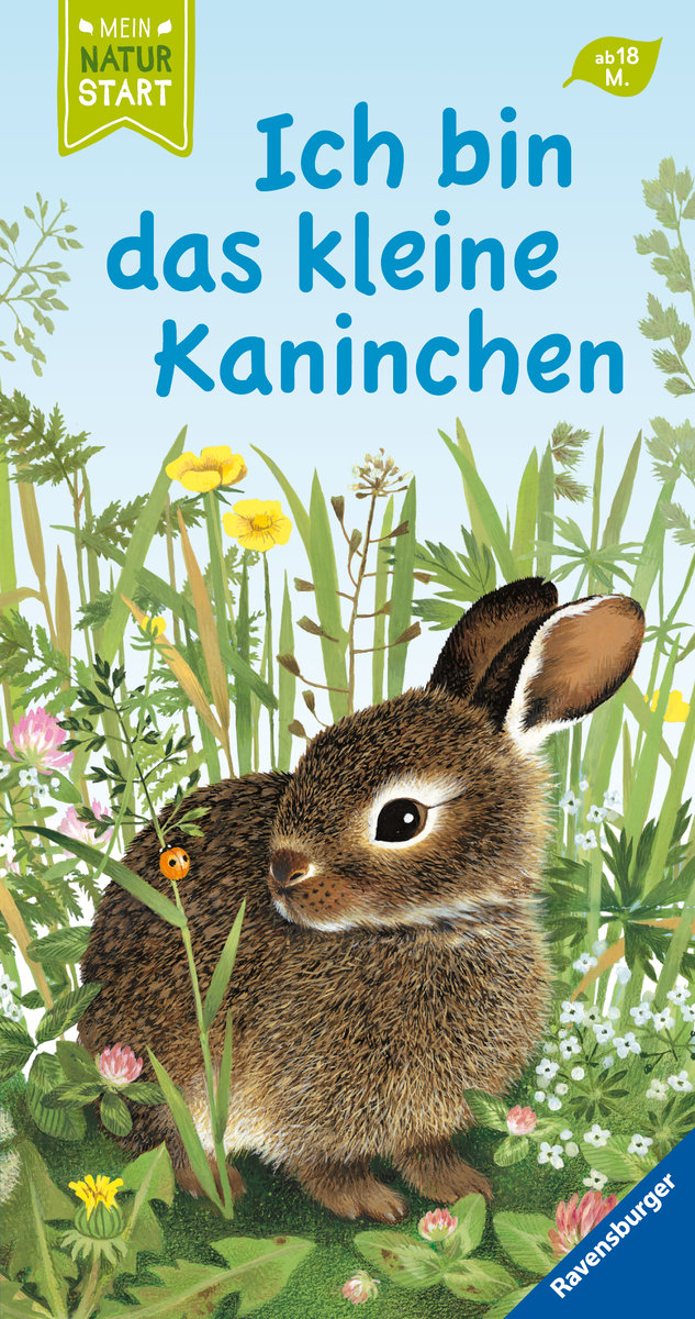 Ich bin das kleine Kaninchen