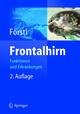 Frontalhirn