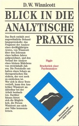 Blick in die analytische Praxis (Konzepte der Humanwissenschaften)