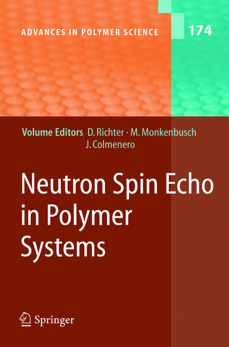 Neutron Spin Echo in Polymer Systems