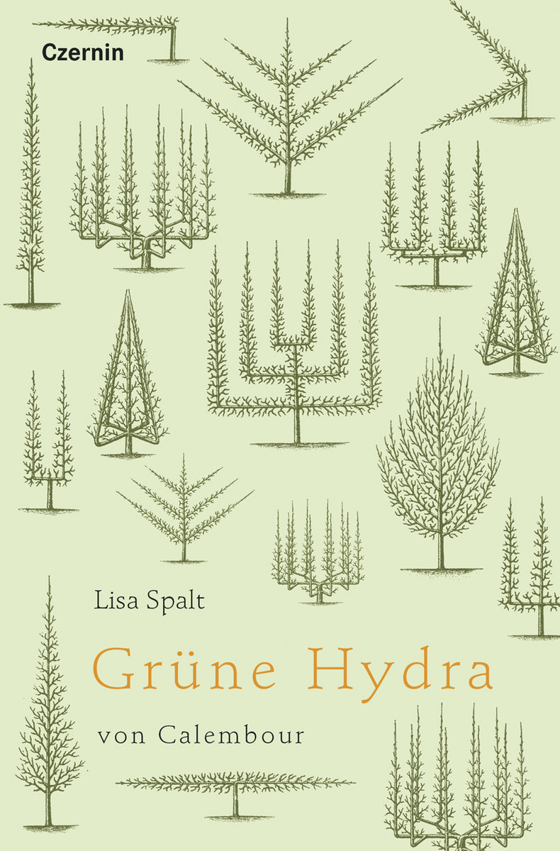 Grüne Hydra von Calembour