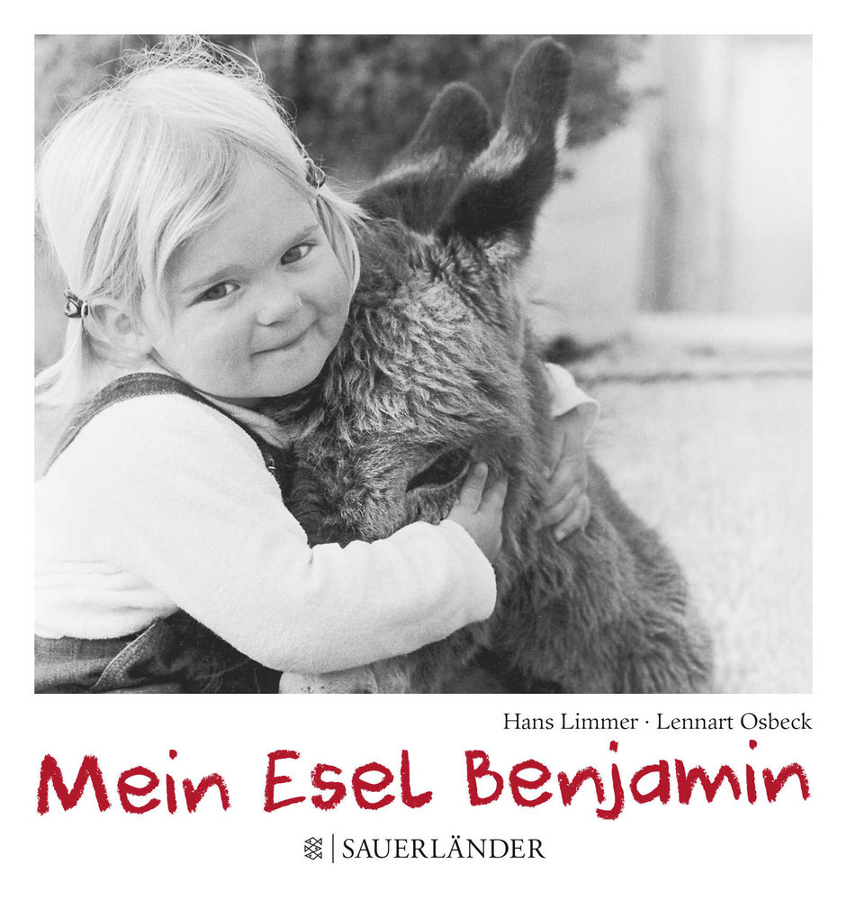 Mein Esel Benjamin