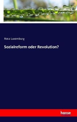 Sozialreform oder Revolution?