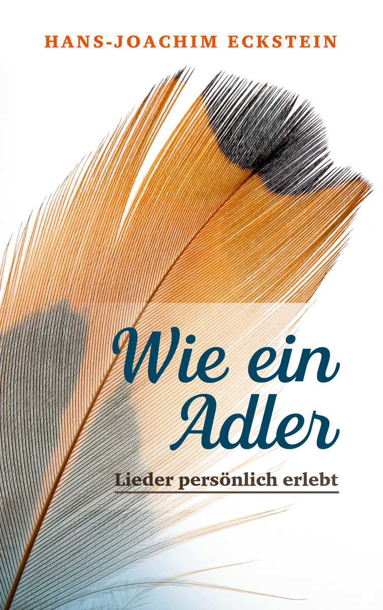 Wie ein Adler