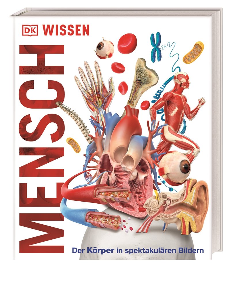 Wissen - Mensch