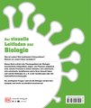 #dkinfografik. Biologie einfach erklärt