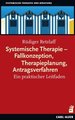 Systemische Therapie - Fallkonzeption, Therapieplanung, Antragsverfahren