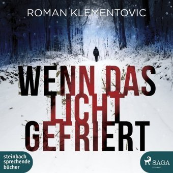 Wenn das Licht gefriert, 2 Audio-CD, MP3