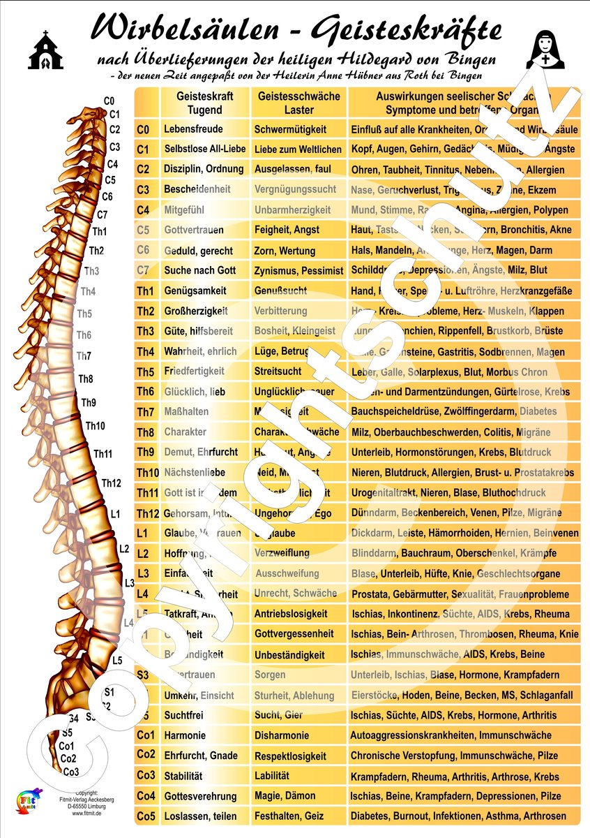 Wirbelsäulen-Geisteskräfte Übersichtskarte DIN A4
