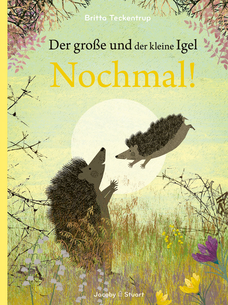 Der große und der kleine Igel / Nochmal!