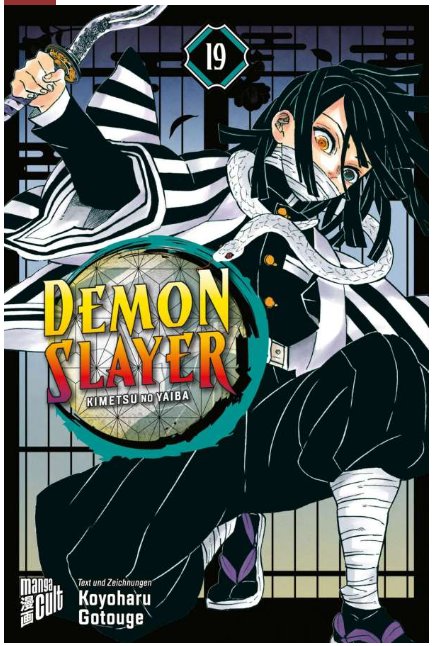 Demon Slayer - Kimetsu no Yaiba 19