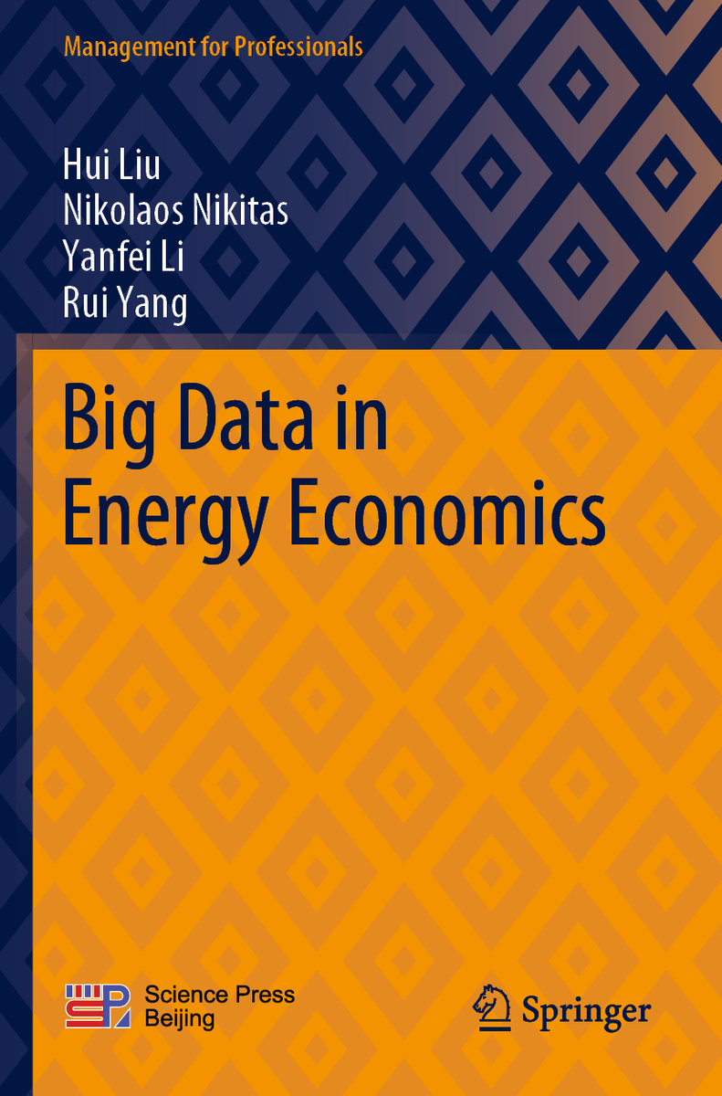 Big Data in Energy Economics